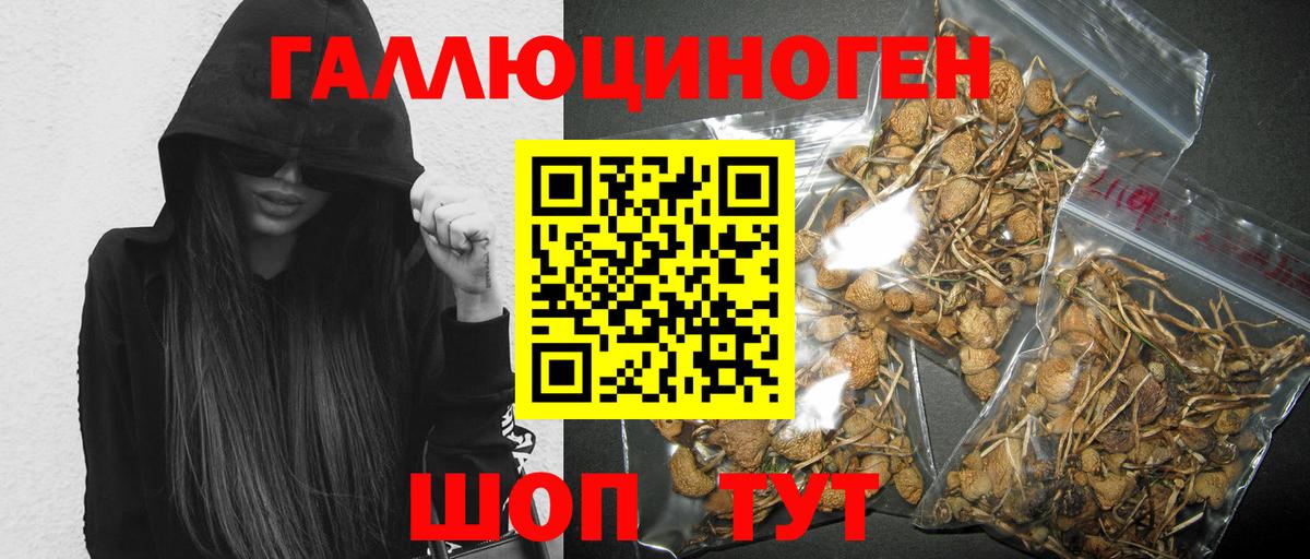 Кирово-Чепецк  Галлюциногенные грибы ЛСД  Вход с VPN 